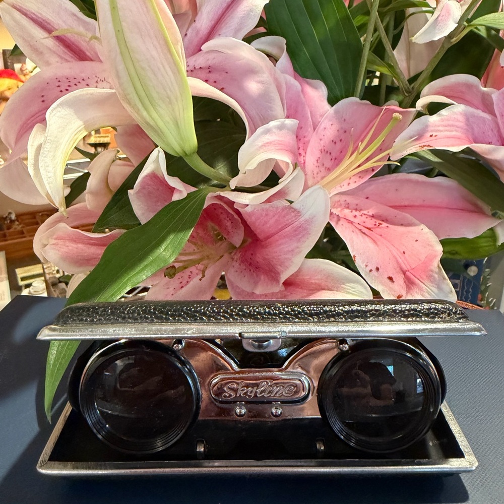 Skyline Silver and Black Binoculars